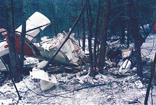 Noreen Renier, Airplane crash case